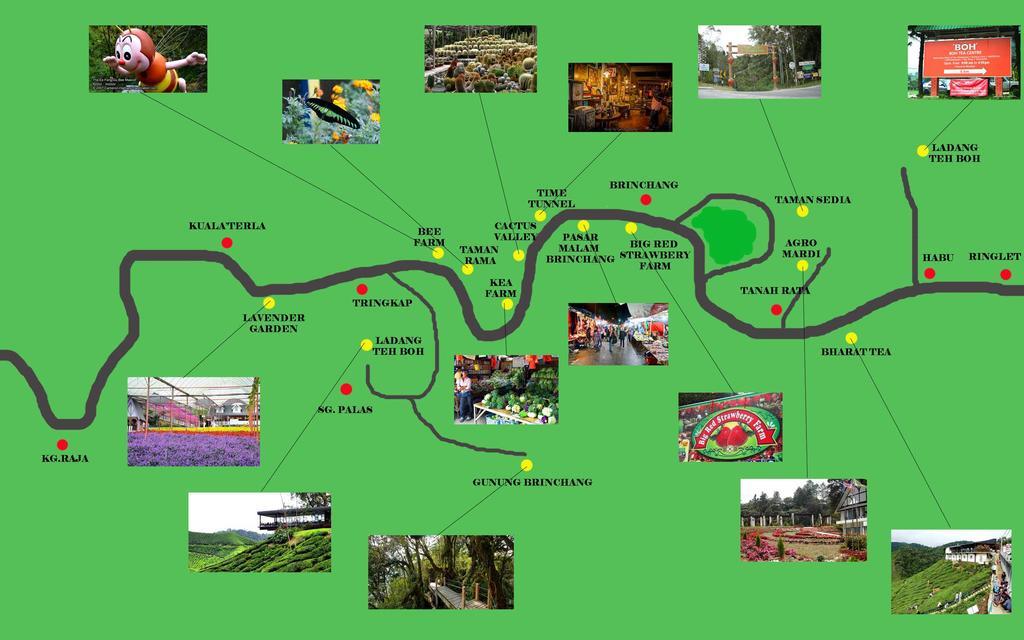 Homestay cameron highlands pahang Luaran gambar
